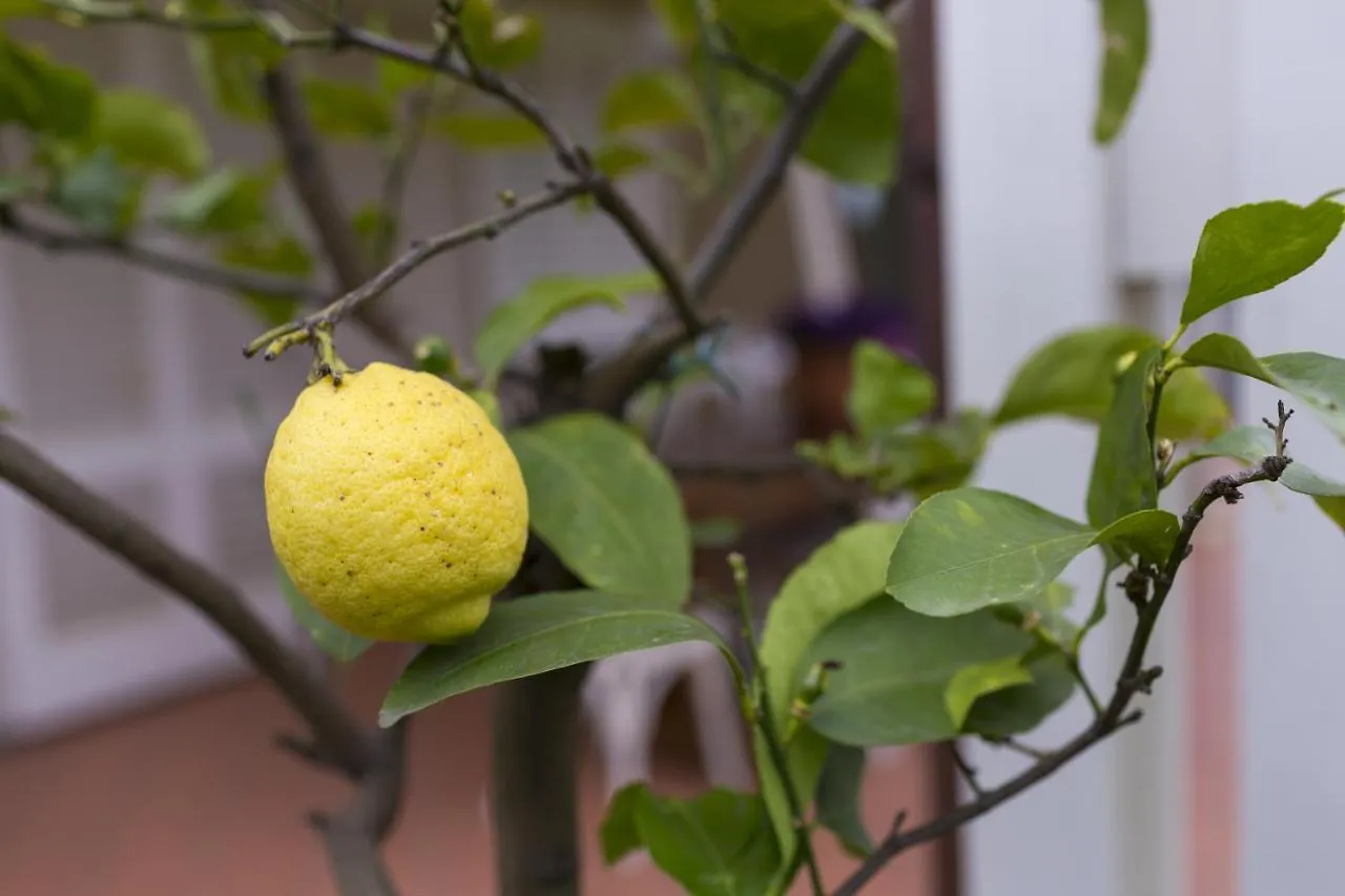 B&B Cava Rossa Monsummano Terme Itália