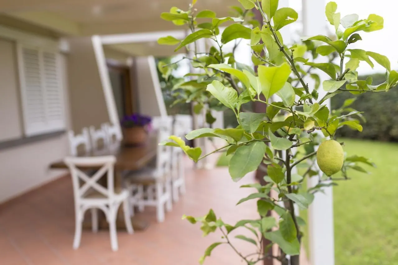 B&B Cava Rossa Monsummano Terme Apartamento